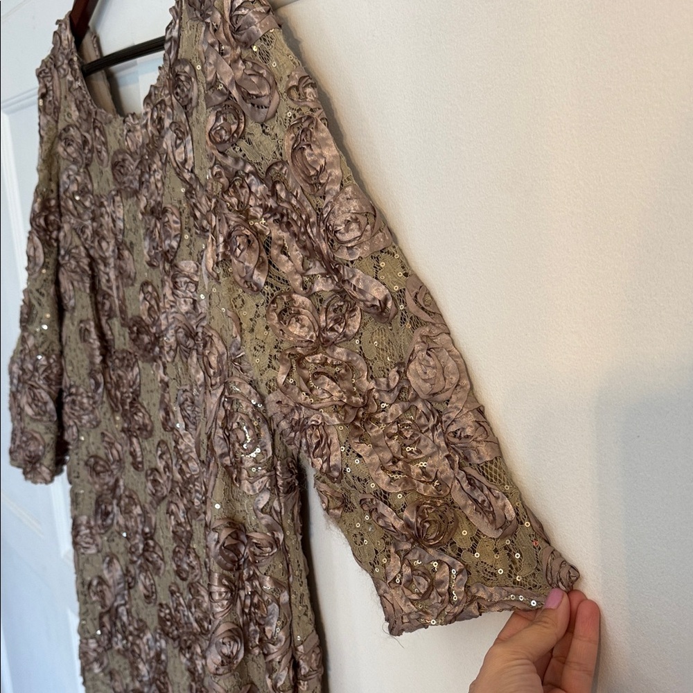 Alex Evenings Taupe-Champagne Floral Appliqué Long Sleeve Evening Dress